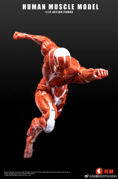 (Pre-Order) Keepgoing Studio 1/12 Human Muscle Model action figure Red and Gray