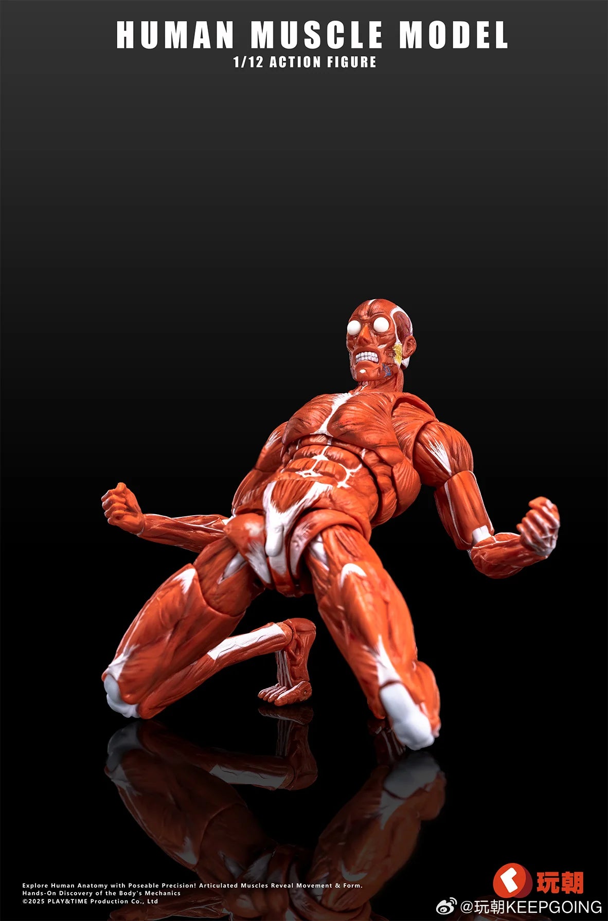 (Pre-Order) Keepgoing Studio 1/12 Human Muscle Model action figure Red and Gray