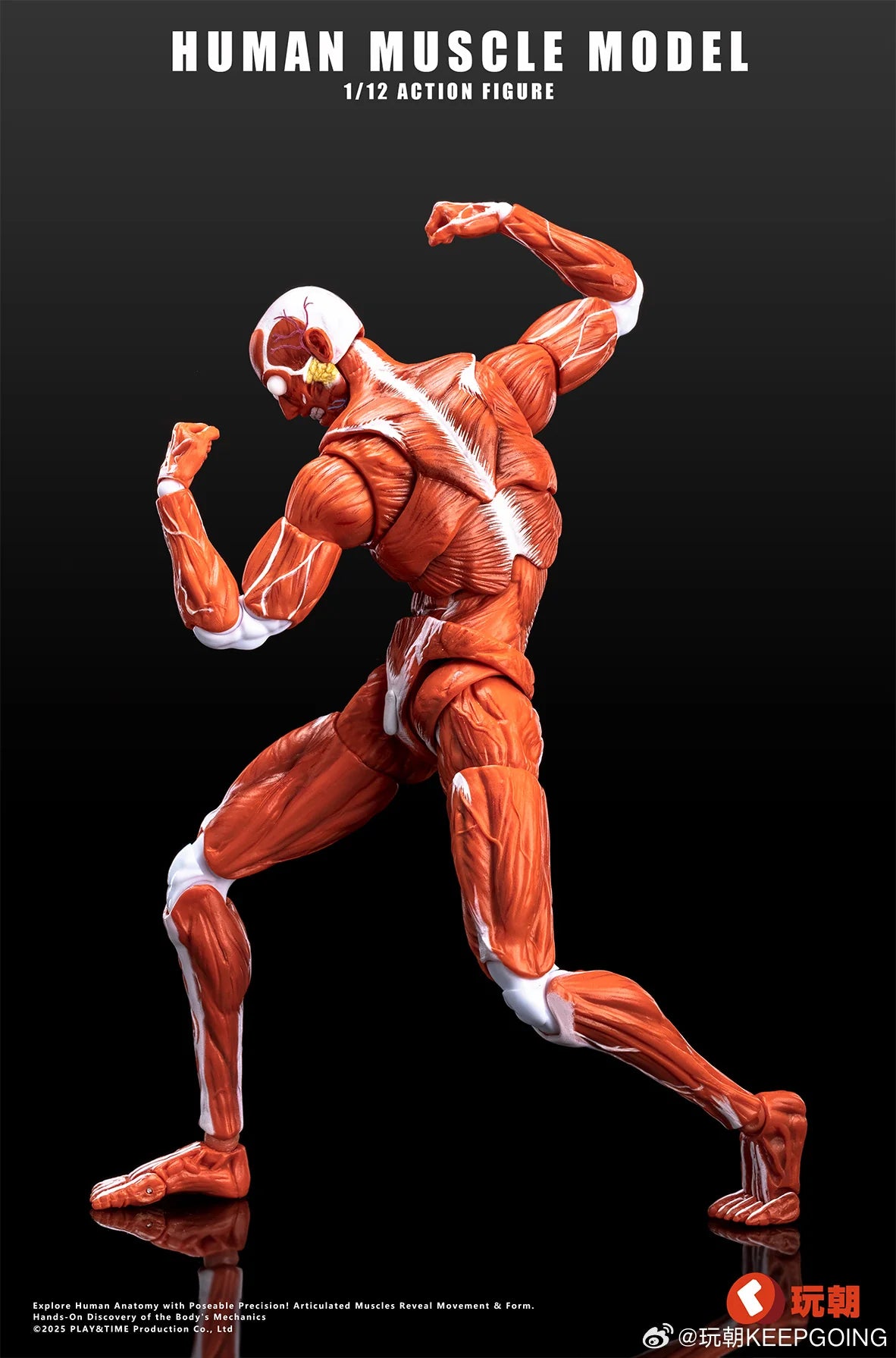 (Pre-Order) Keepgoing Studio 1/12 Human Muscle Model action figure Red and Gray