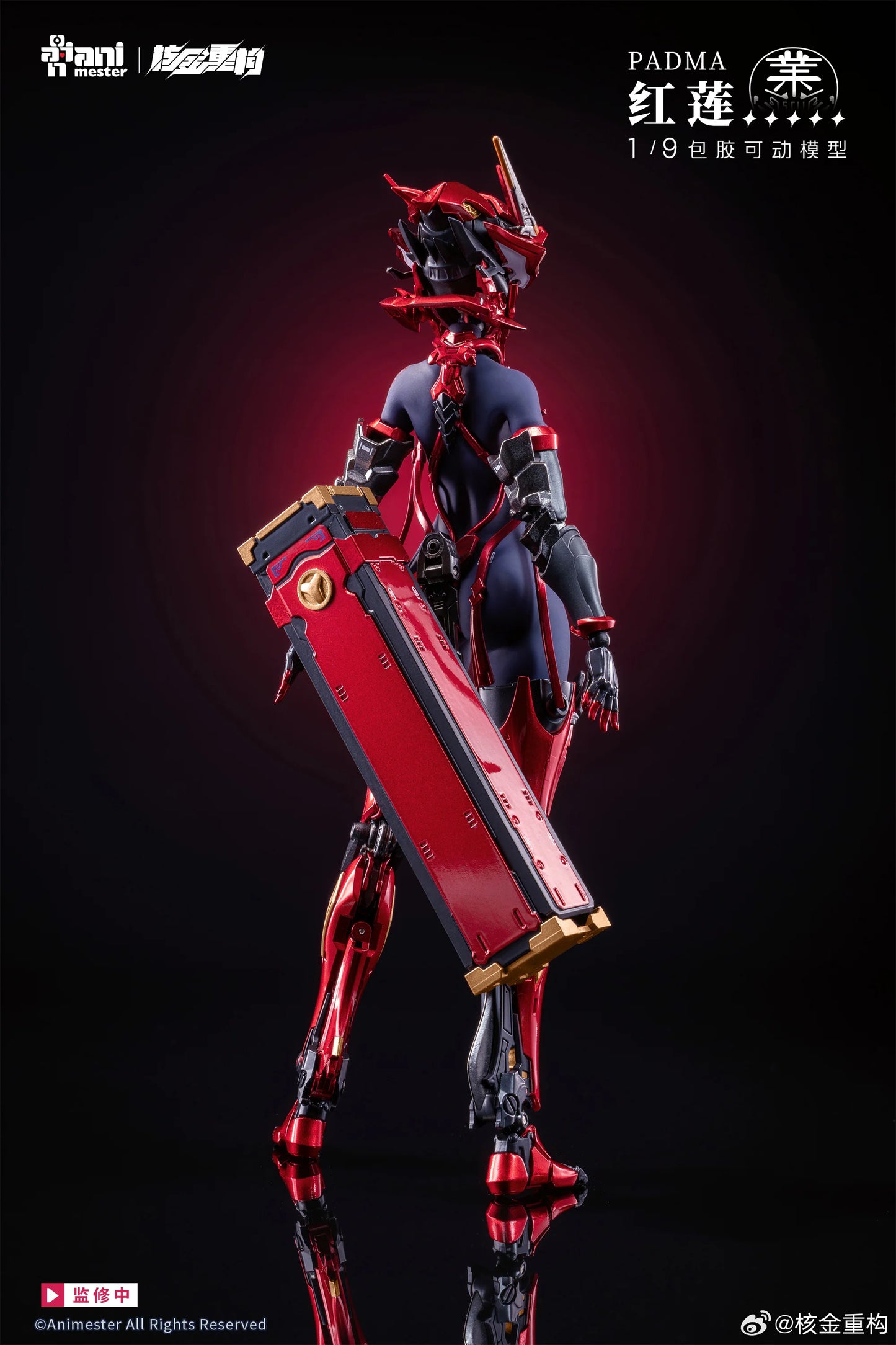 (Pre-Order) Animester 1/9 Padma action figure with preorder bonus