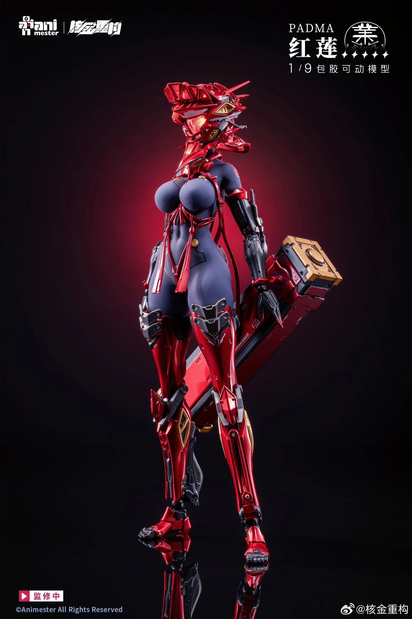 (Pre-Order) Animester 1/9 Padma action figure with preorder bonus