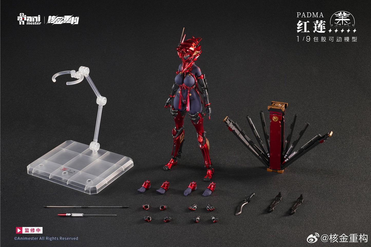 (Pre-Order) Animester 1/9 Padma action figure with preorder bonus