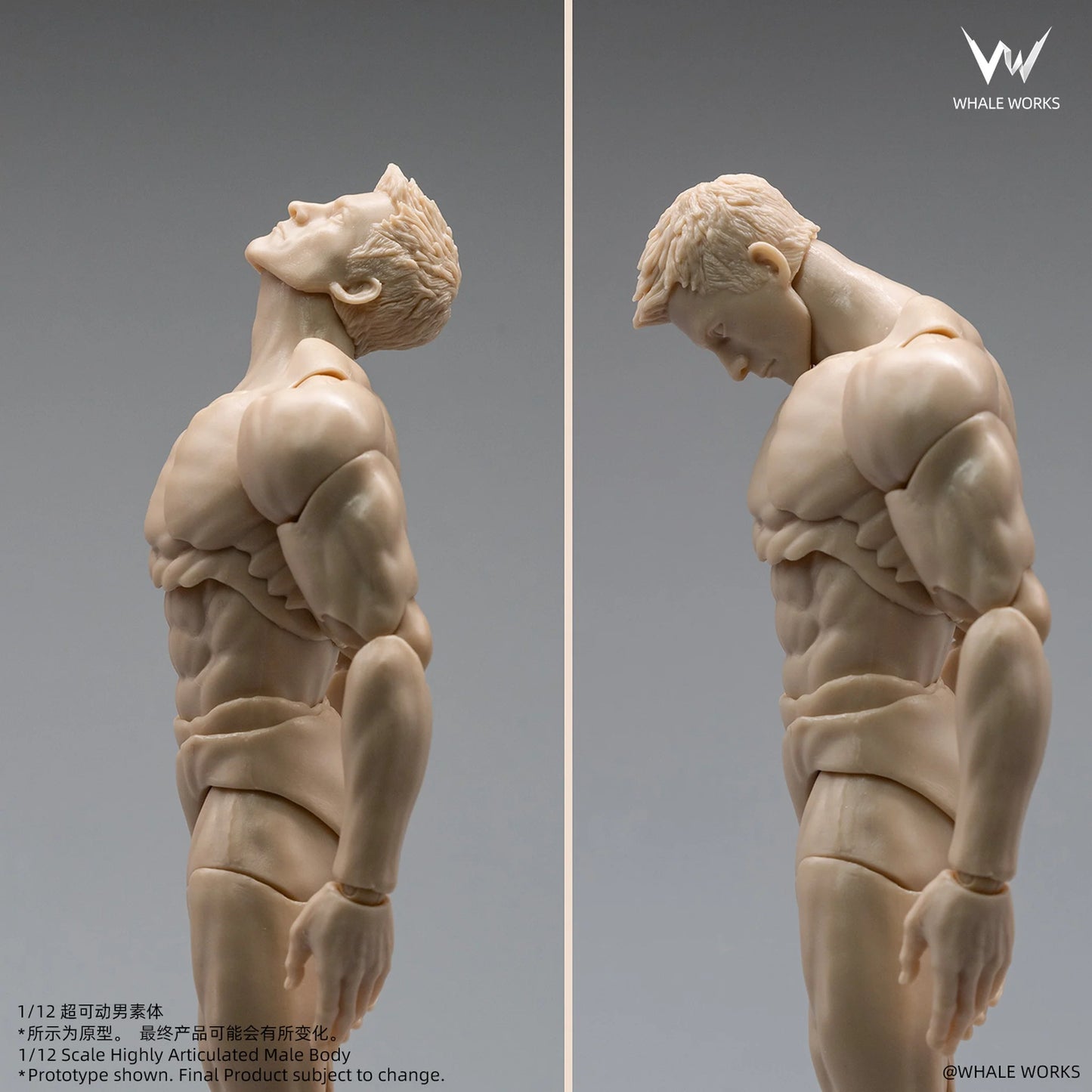 (Pre-Order) Whale Works 1/12 Super Articulated Male Body ASH action figure