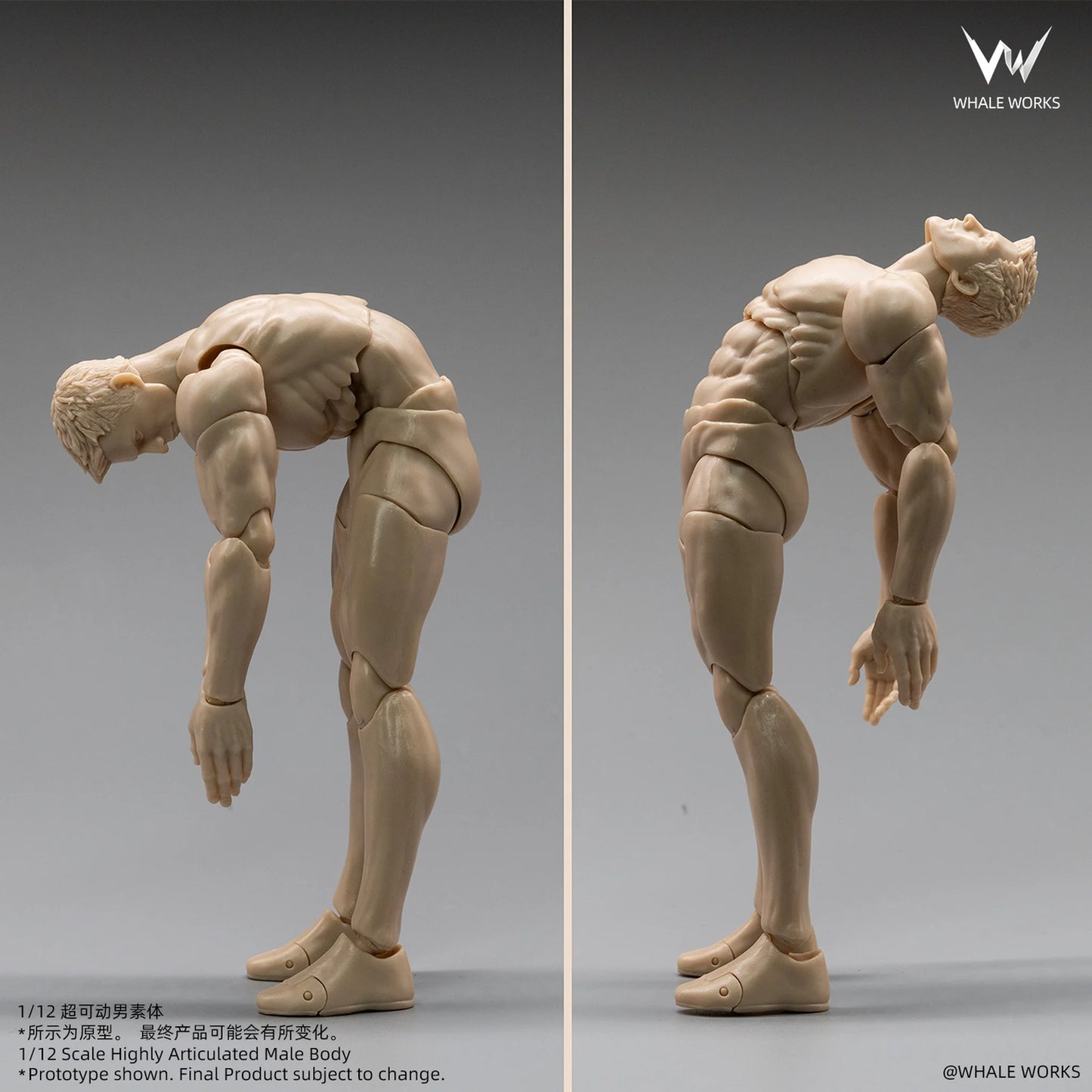 (Pre-Order) Whale Works 1/12 Super Articulated Male Body ASH action figure