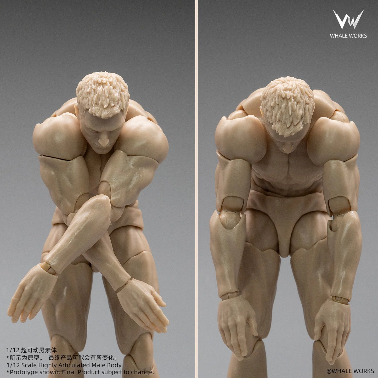 (Pre-Order) Whale Works 1/12 Super Articulated Male Body ASH action figure