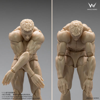 (Pre-Order) Whale Works 1/12 Super Articulated Male Body ASH action figure