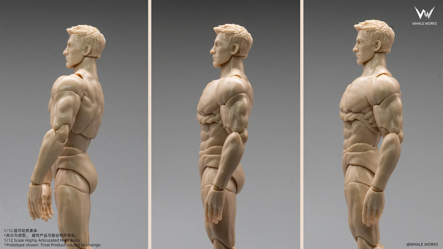 (Pre-Order) Whale Works 1/12 Super Articulated Male Body ASH action figure