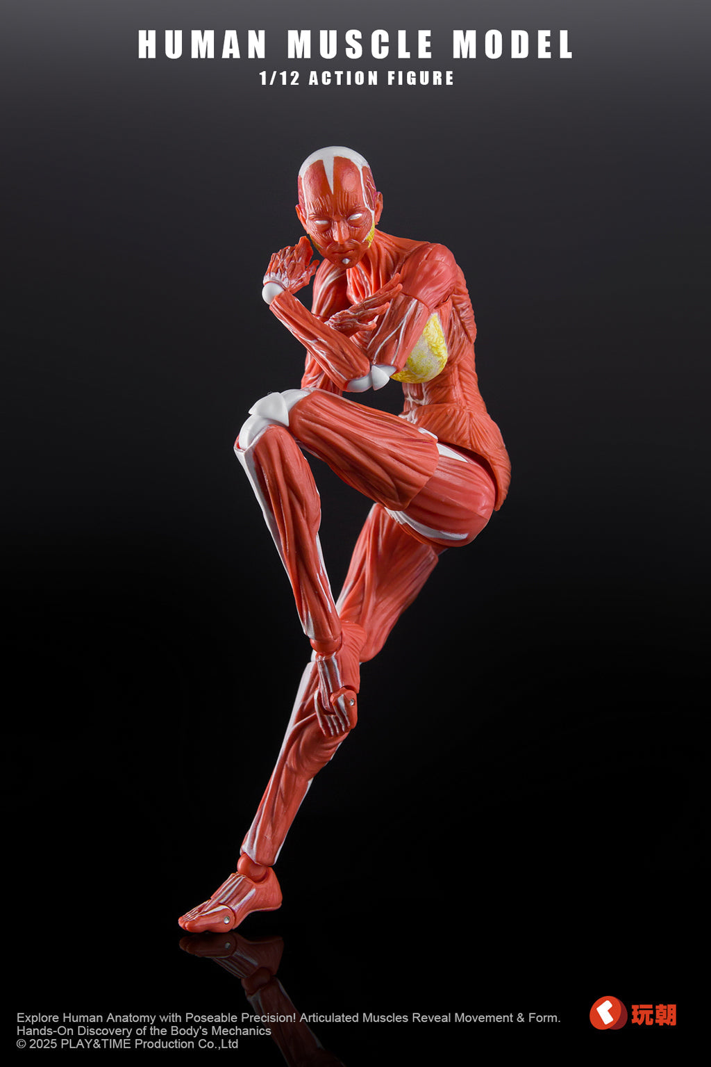 (Pre-Order) Keepgoing 1/12 Female muscular body action figure Red and Gray