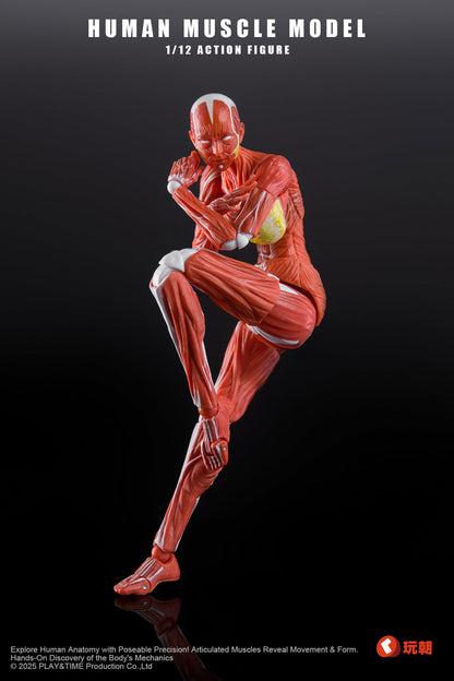 (Pre-Order) Keepgoing 1/12 Female muscular body action figure Red and Gray
