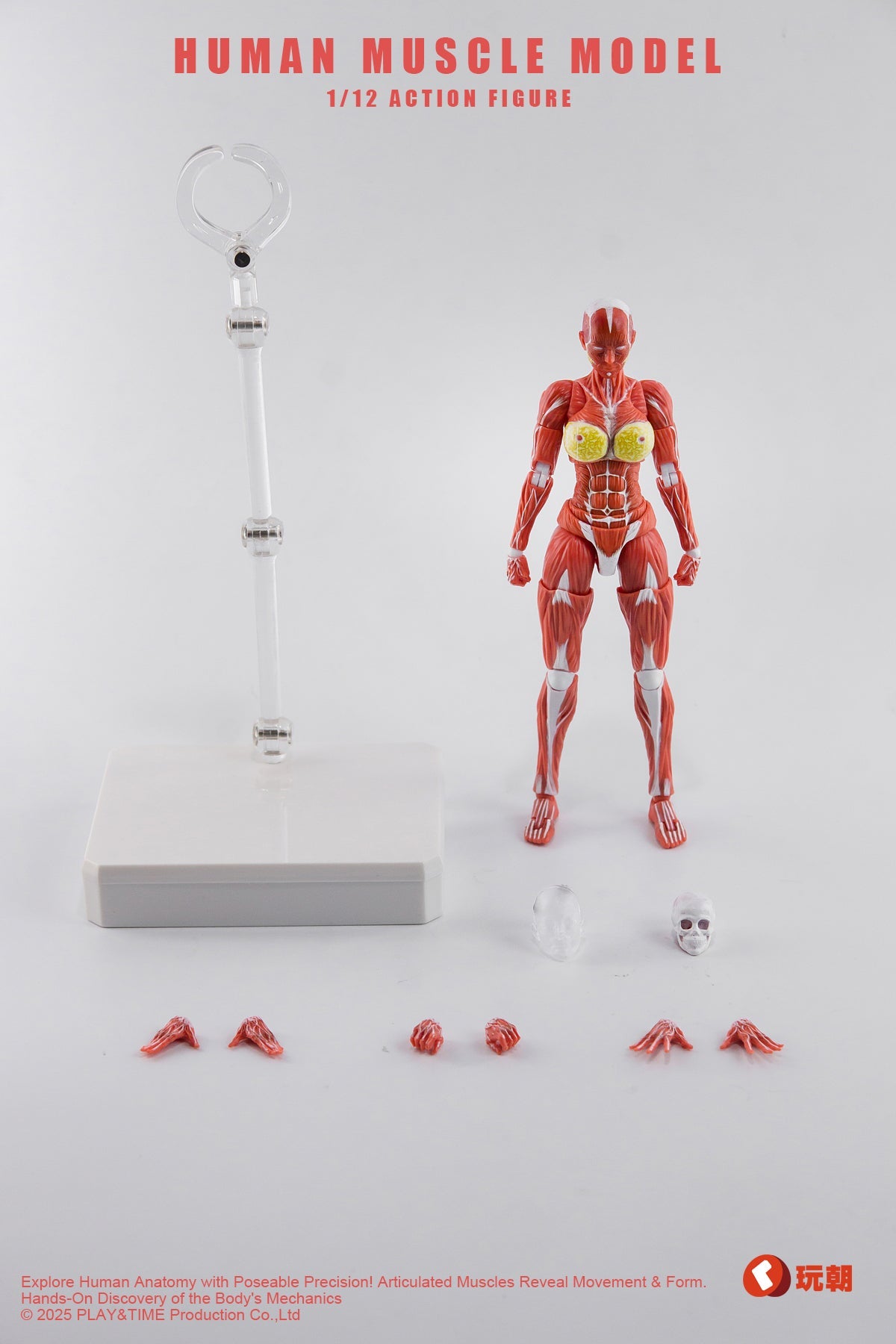 (Pre-Order) Keepgoing 1/12 Female muscular body action figure Red and Gray