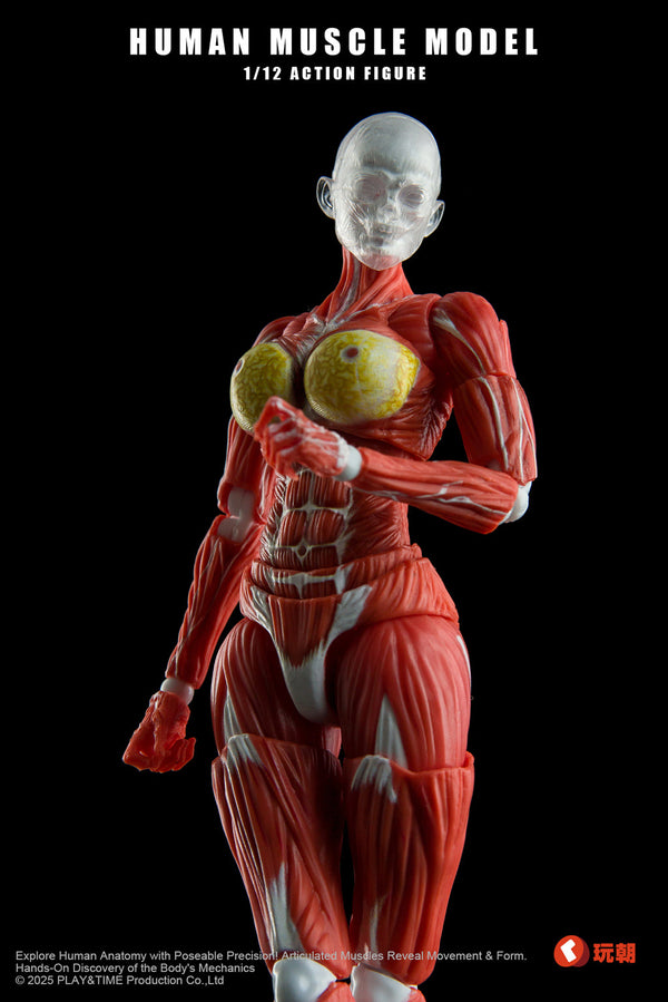 (Pre-Order) Keepgoing 1/12 Female muscular body action figure Red and Gray