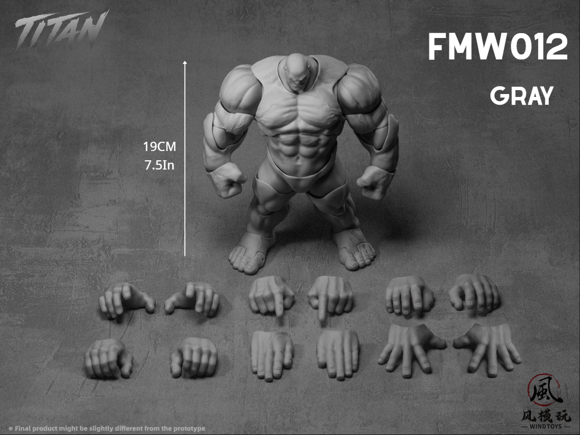 (Pre-Order) Wind toys 1/12 Titan action figure 7.5in FMW009-012
