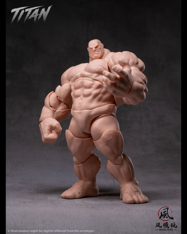 (Pre-Order) Wind toys 1/12 Titan action figure 7.5in FMW009-012