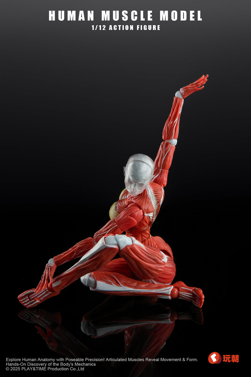 (Pre-Order) Keepgoing 1/12 Female muscular body action figure Red and Gray
