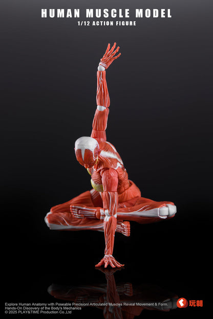 (Pre-Order) Keepgoing 1/12 Female muscular body action figure Red and Gray