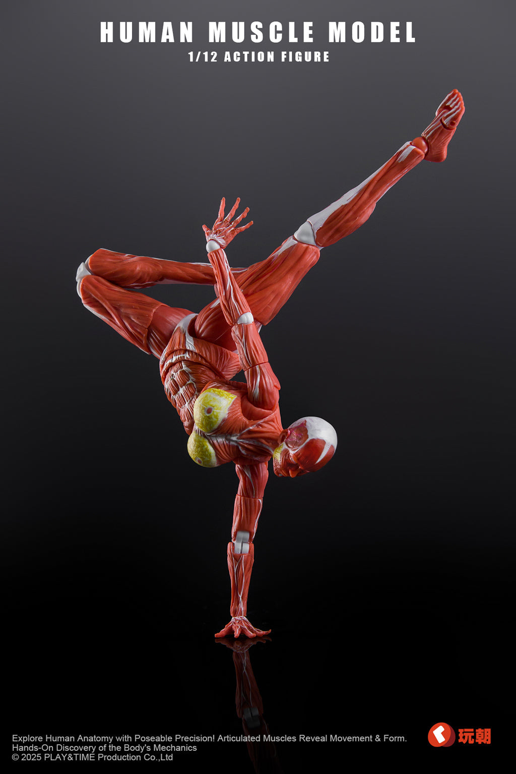 (Pre-Order) Keepgoing 1/12 Female muscular body action figure Red and Gray