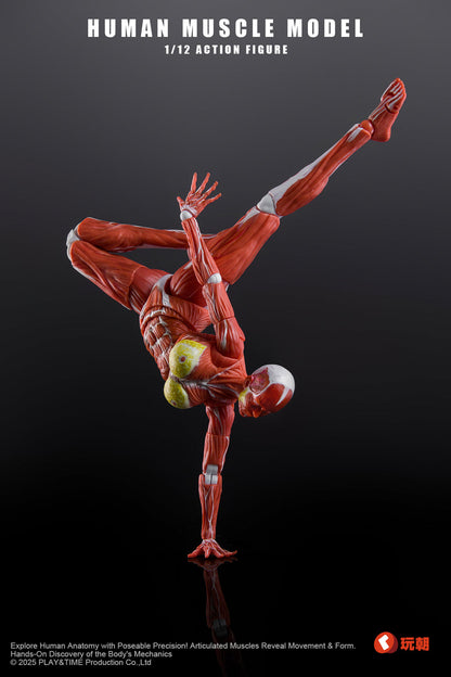 (Pre-Order) Keepgoing 1/12 Female muscular body action figure Red and Gray