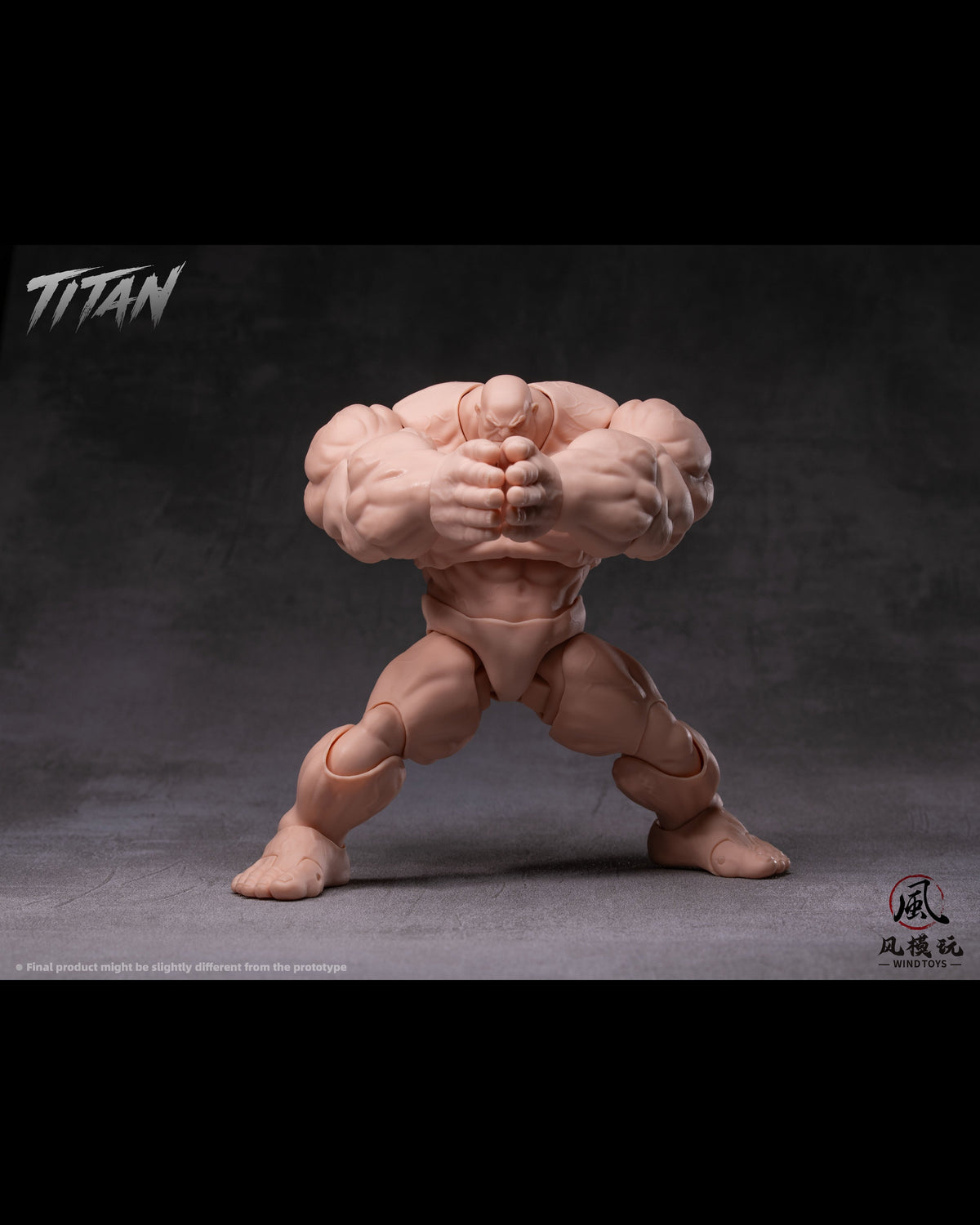 (Pre-Order) Wind toys 1/12 Titan action figure 7.5in FMW009-012