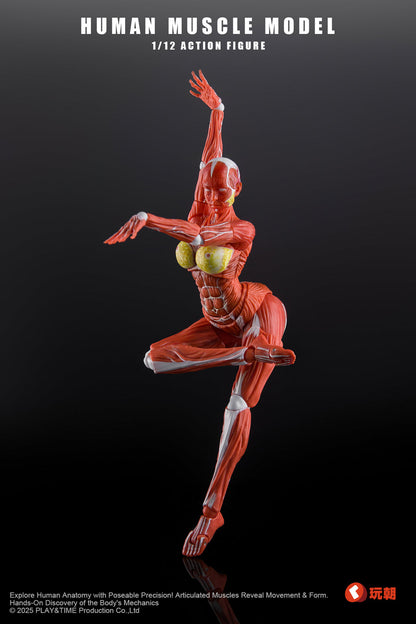 (Pre-Order) Keepgoing 1/12 Female muscular body action figure Red and Gray