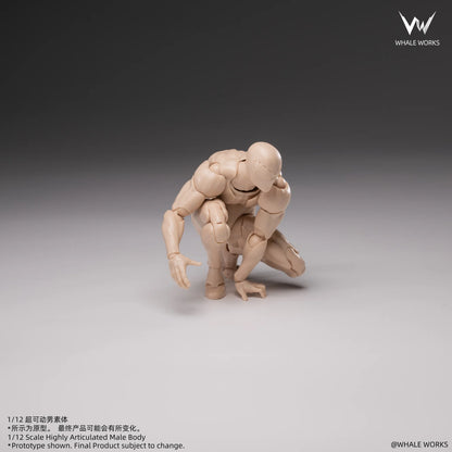 (Pre-Order) Whale Works 1/12 Super Articulated Male Body ASH action figure