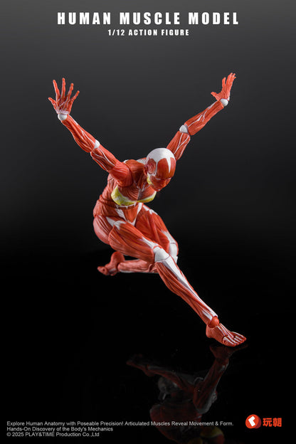 (Pre-Order) Keepgoing 1/12 Female muscular body action figure Red and Gray