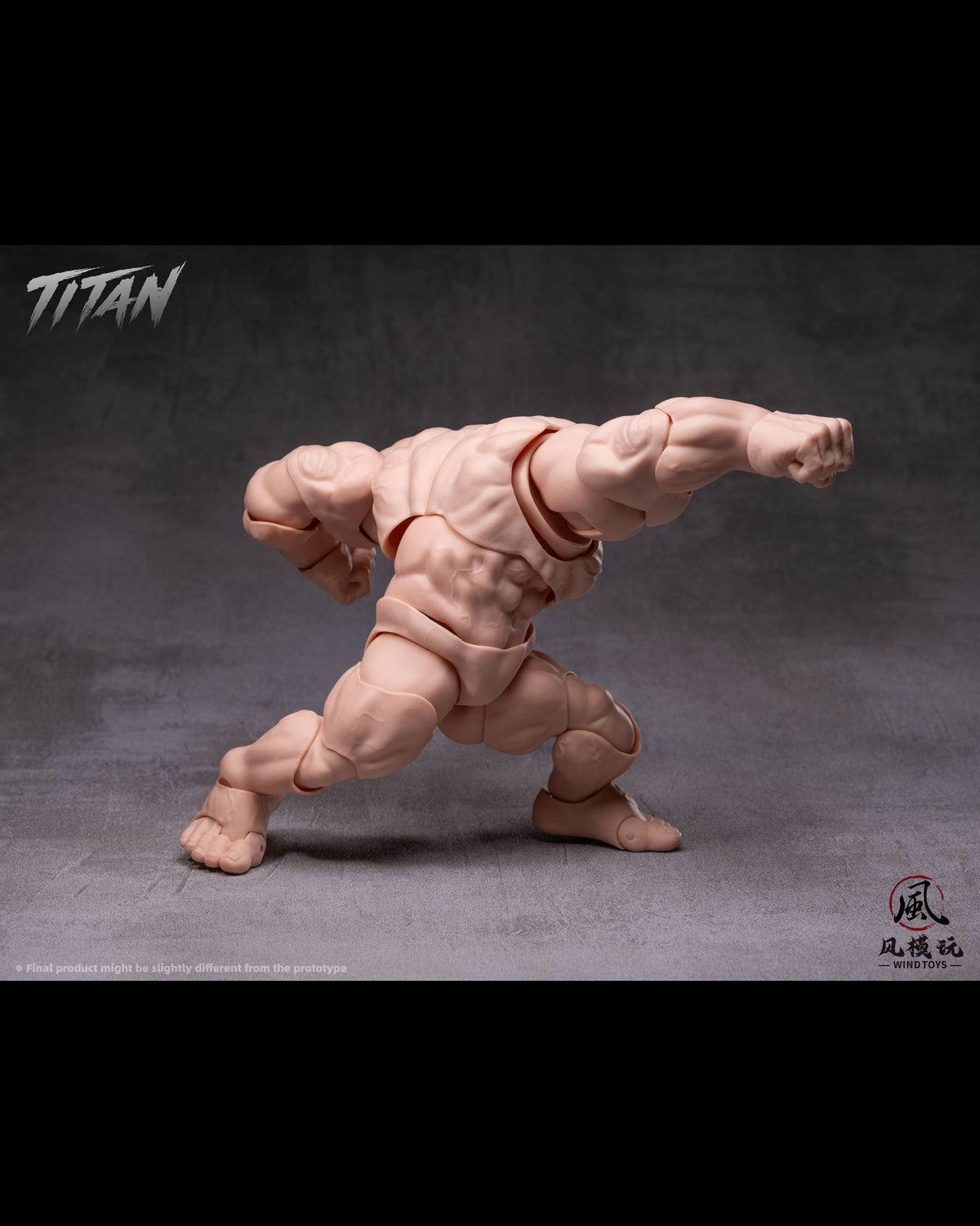 (Pre-Order) Wind toys 1/12 Titan action figure 7.5in FMW009-012