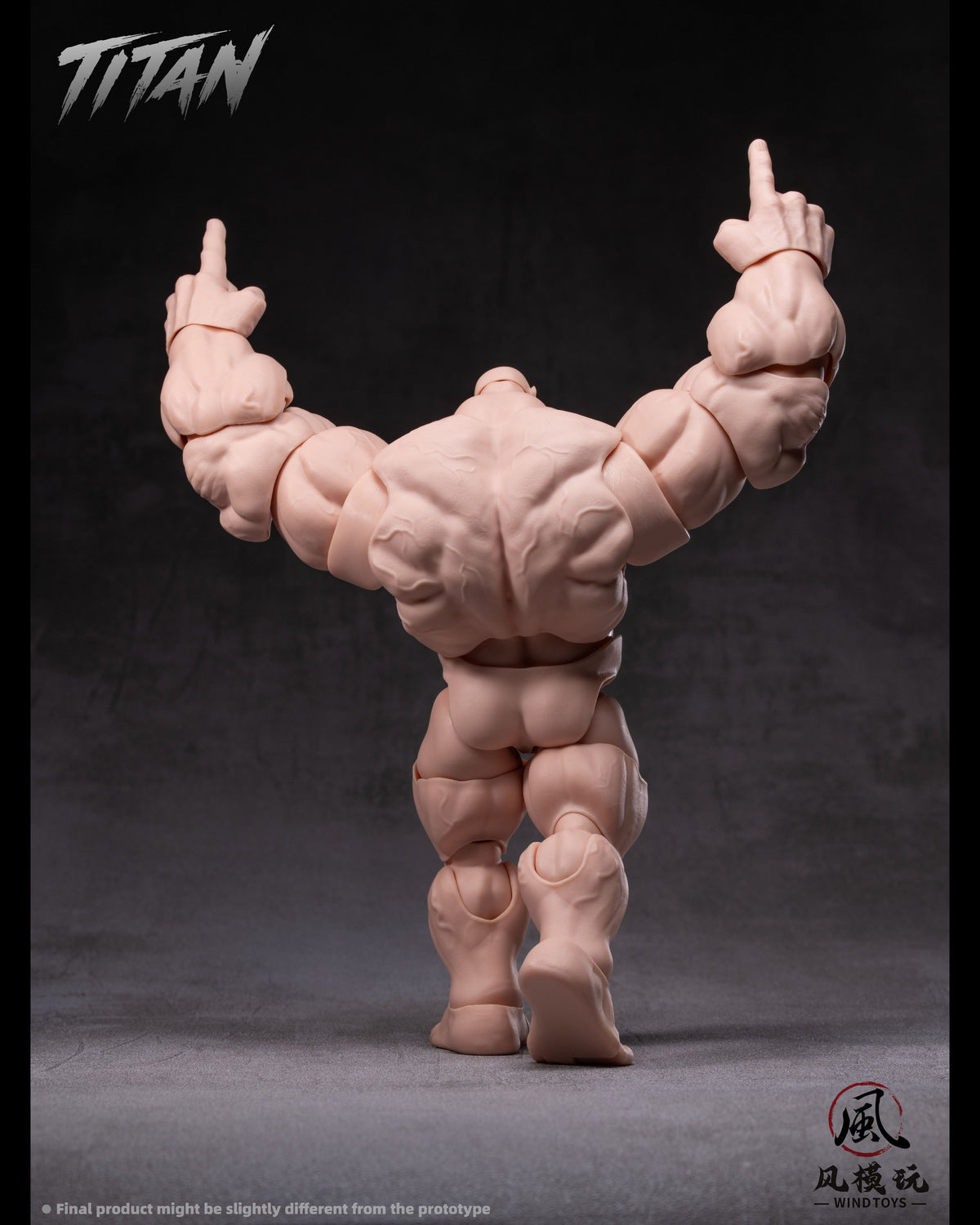 (Pre-Order) Wind toys 1/12 Titan action figure 7.5in FMW009-012