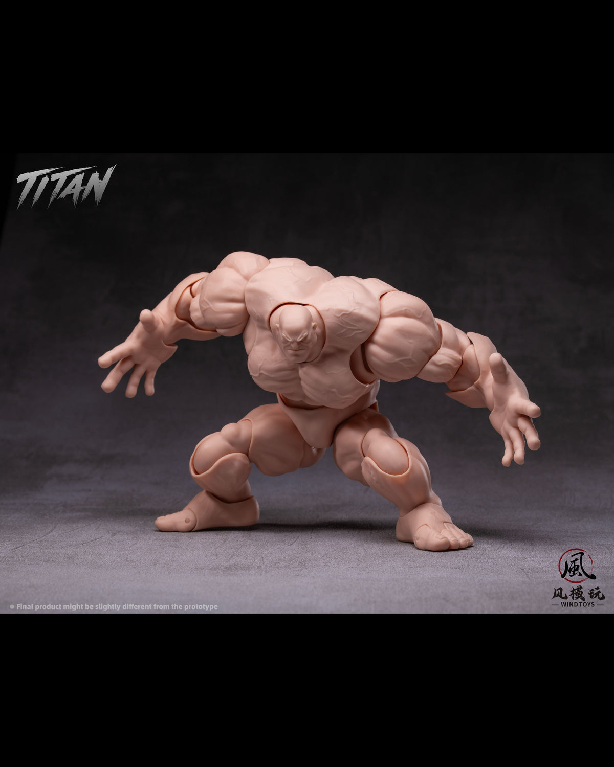 (Pre-Order) Wind toys 1/12 Titan action figure 7.5in FMW009-012