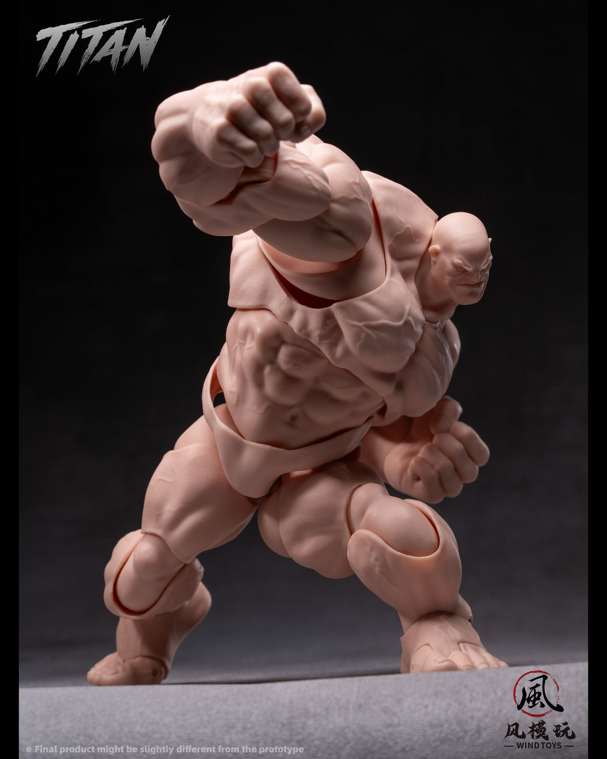 (Pre-Order) Wind toys 1/12 Titan action figure 7.5in FMW009-012