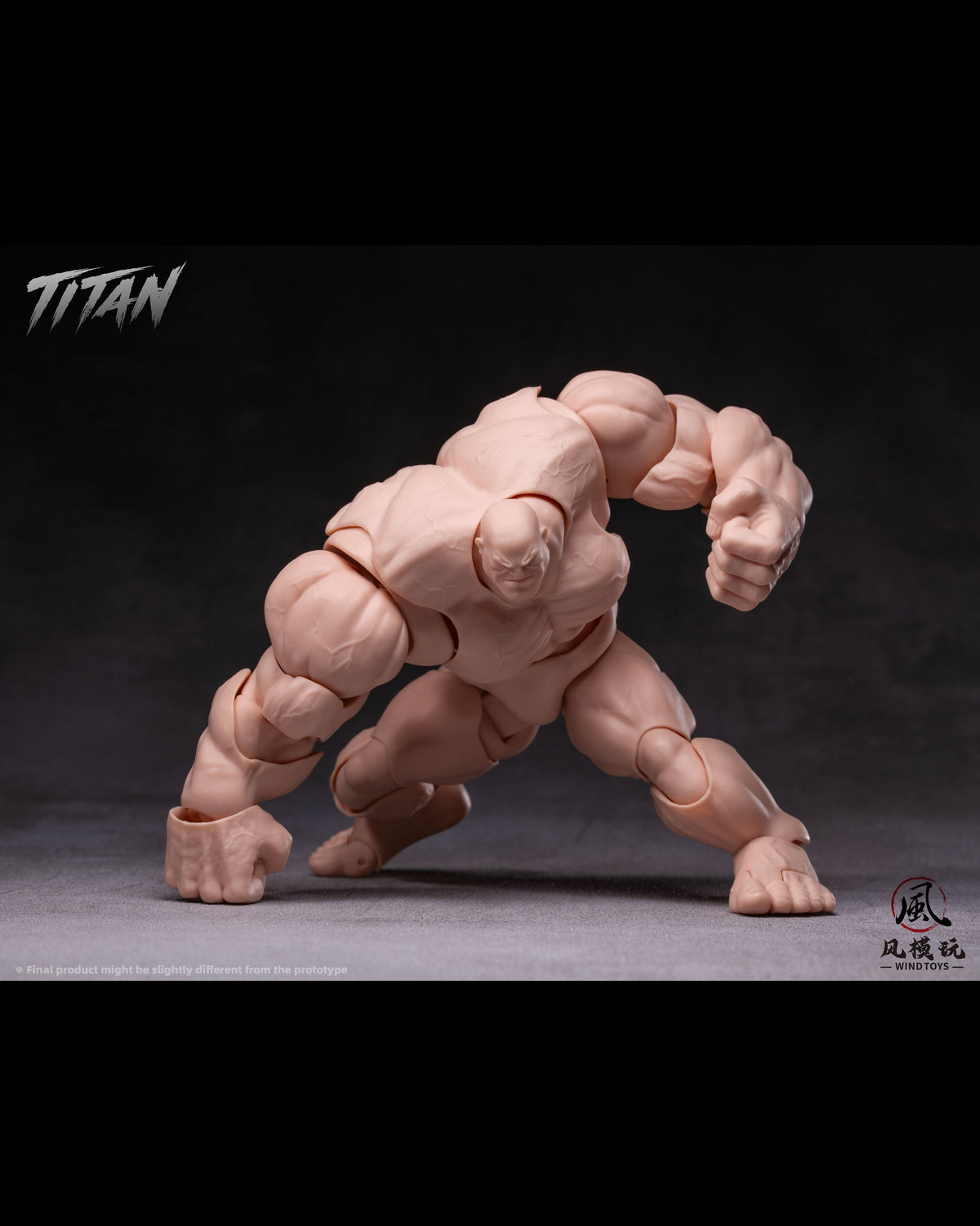 (Pre-Order) Wind toys 1/12 Titan action figure 7.5in FMW009-012