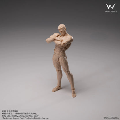 (Pre-Order) Whale Works 1/12 Super Articulated Male Body ASH action figure