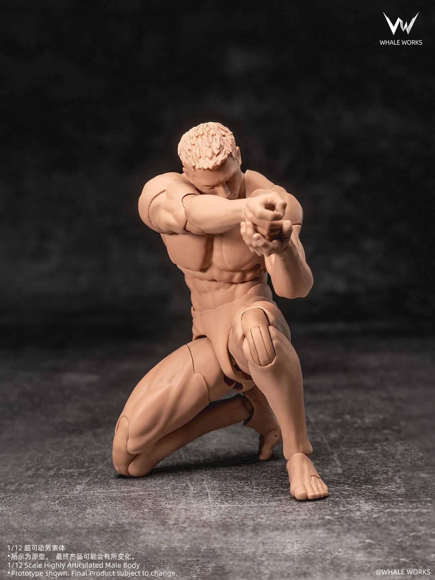 (Pre-Order) Whale Works 1/12 Super Articulated Male Body ASH action figure