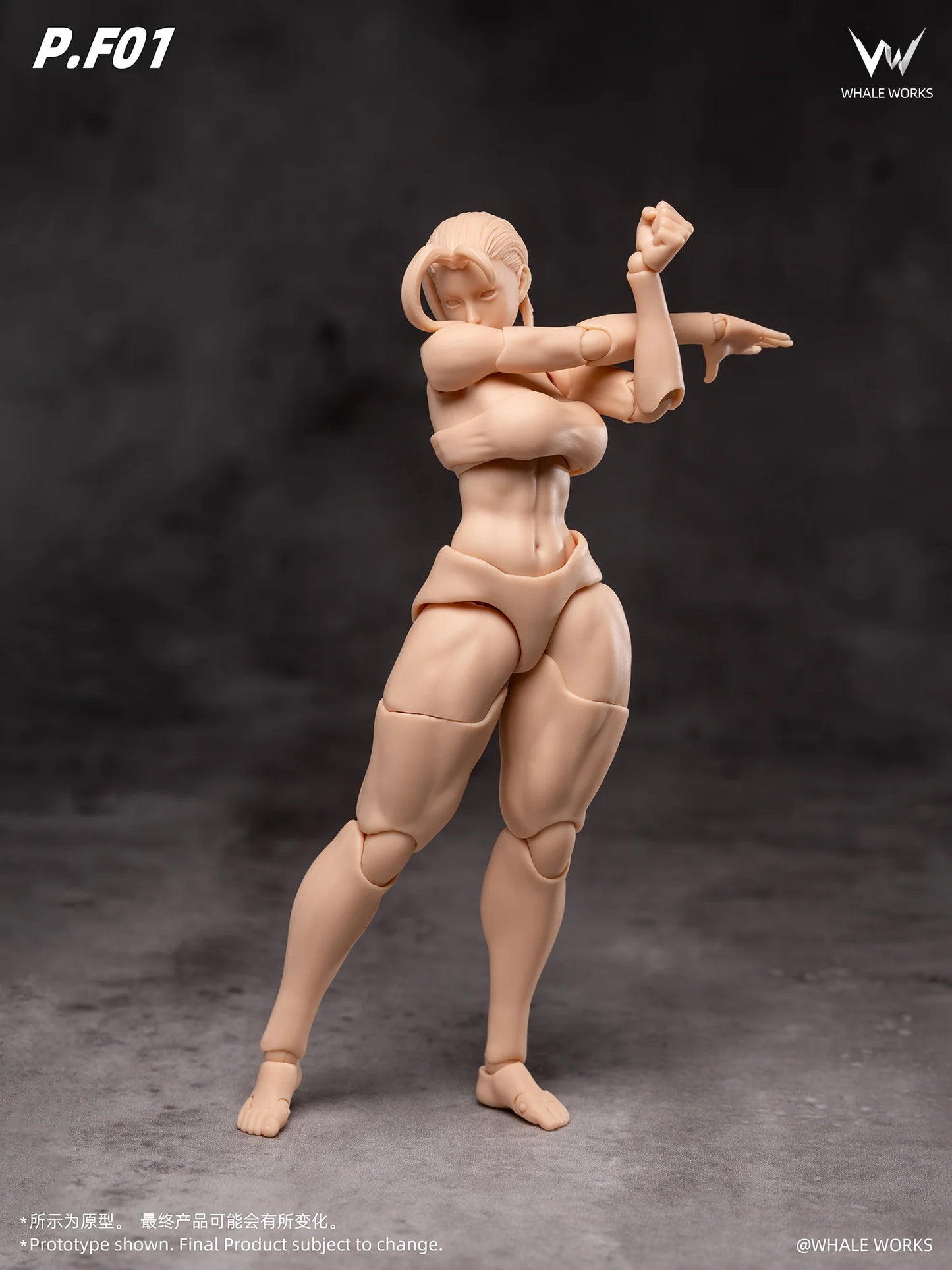 (Pre-Order) Whale Works 1/12 Super Articulate figures Aria and Rin