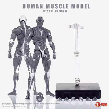 (Pre-Order) Keepgoing Studio 1/12 Human Muscle Model action figure Red and Gray