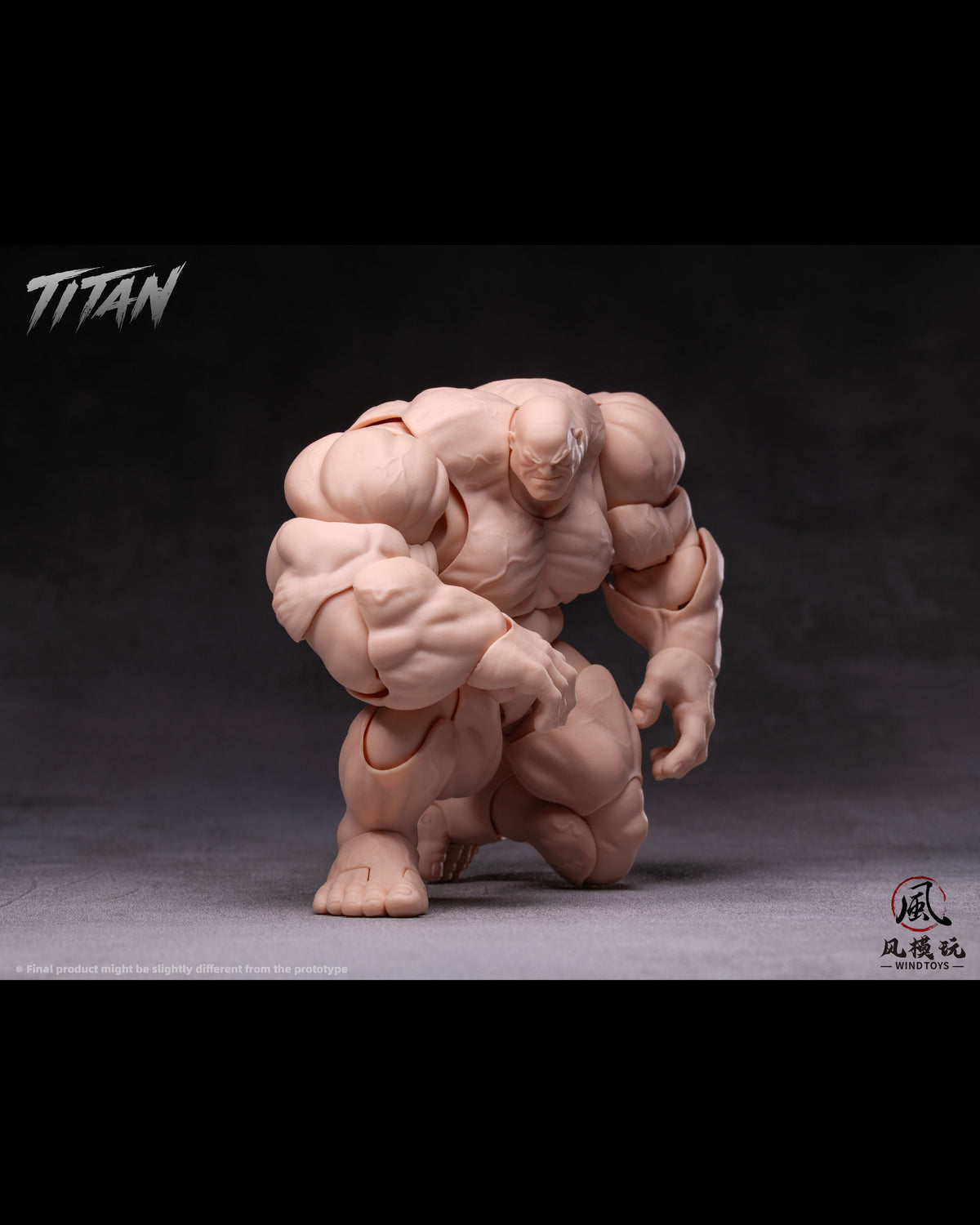 (Pre-Order) Wind toys 1/12 Titan action figure 7.5in FMW009-012