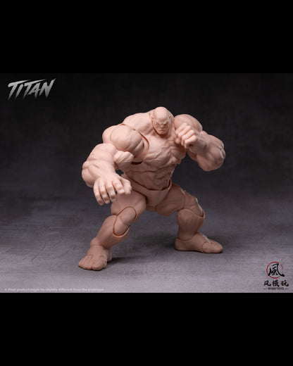 (Pre-Order) Wind toys 1/12 Titan action figure 7.5in FMW009-012