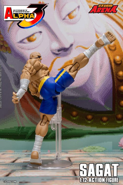 (Pre-Order) Storm Collectibles Street Fighter Alpha 3 Storm Arena Sagat