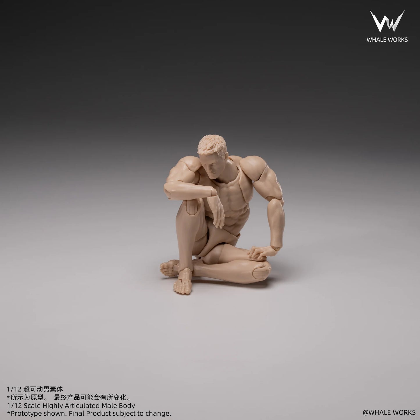 (Pre-Order) Whale Works 1/12 Super Articulated Male Body ASH action figure