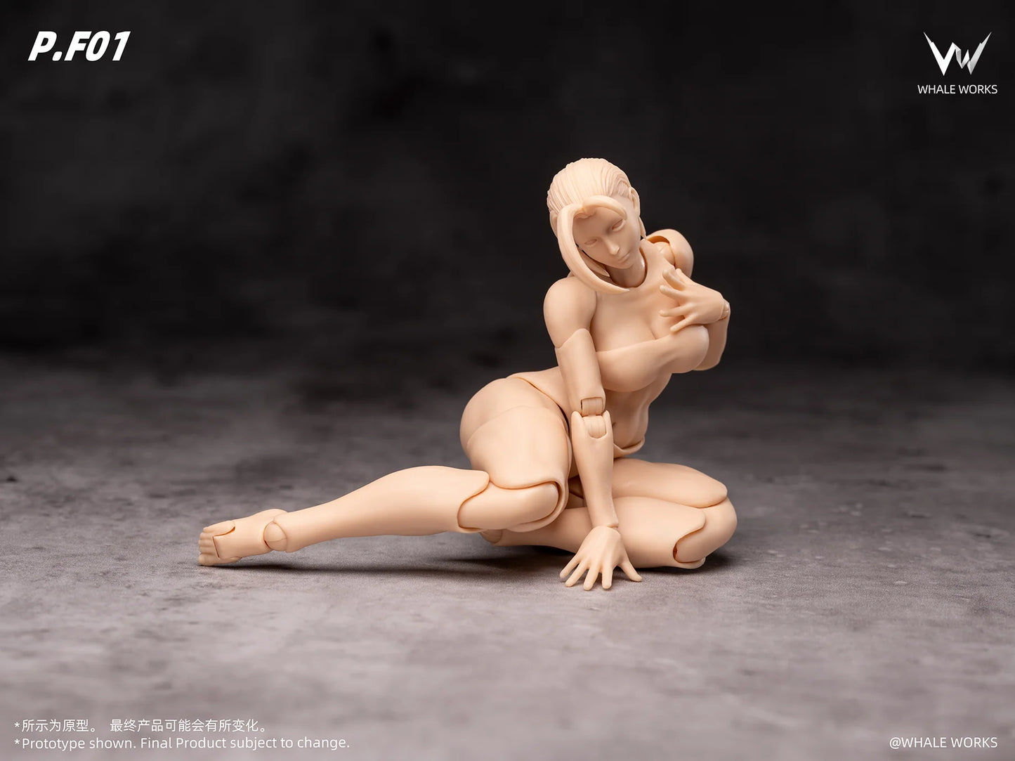 (Pre-Order) Whale Works 1/12 Super Articulate figures Aria and Rin