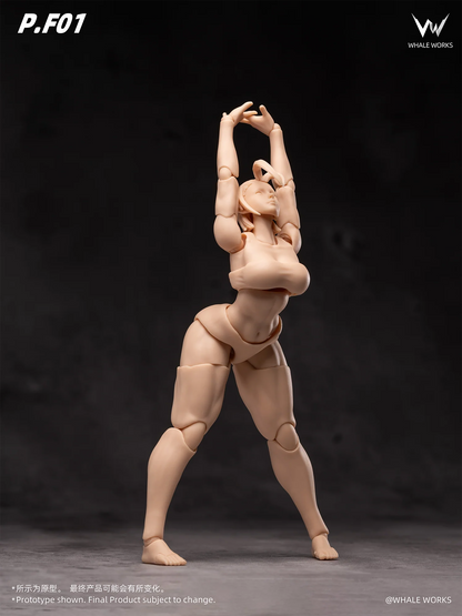 (Pre-Order) Whale Works 1/12 Super Articulate figures Aria and Rin