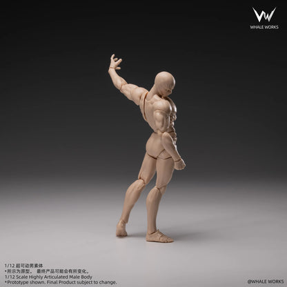 (Pre-Order) Whale Works 1/12 Super Articulated Male Body ASH action figure