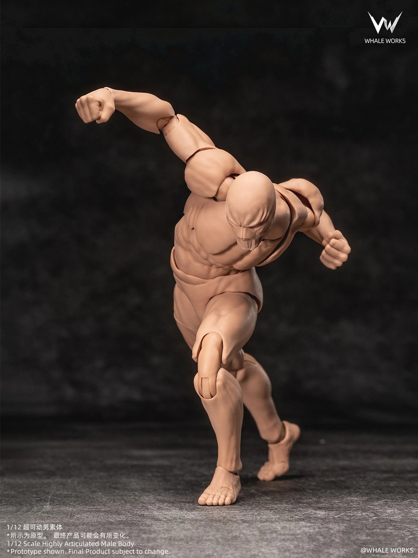 (Pre-Order) Whale Works 1/12 Super Articulated Male Body ASH action figure
