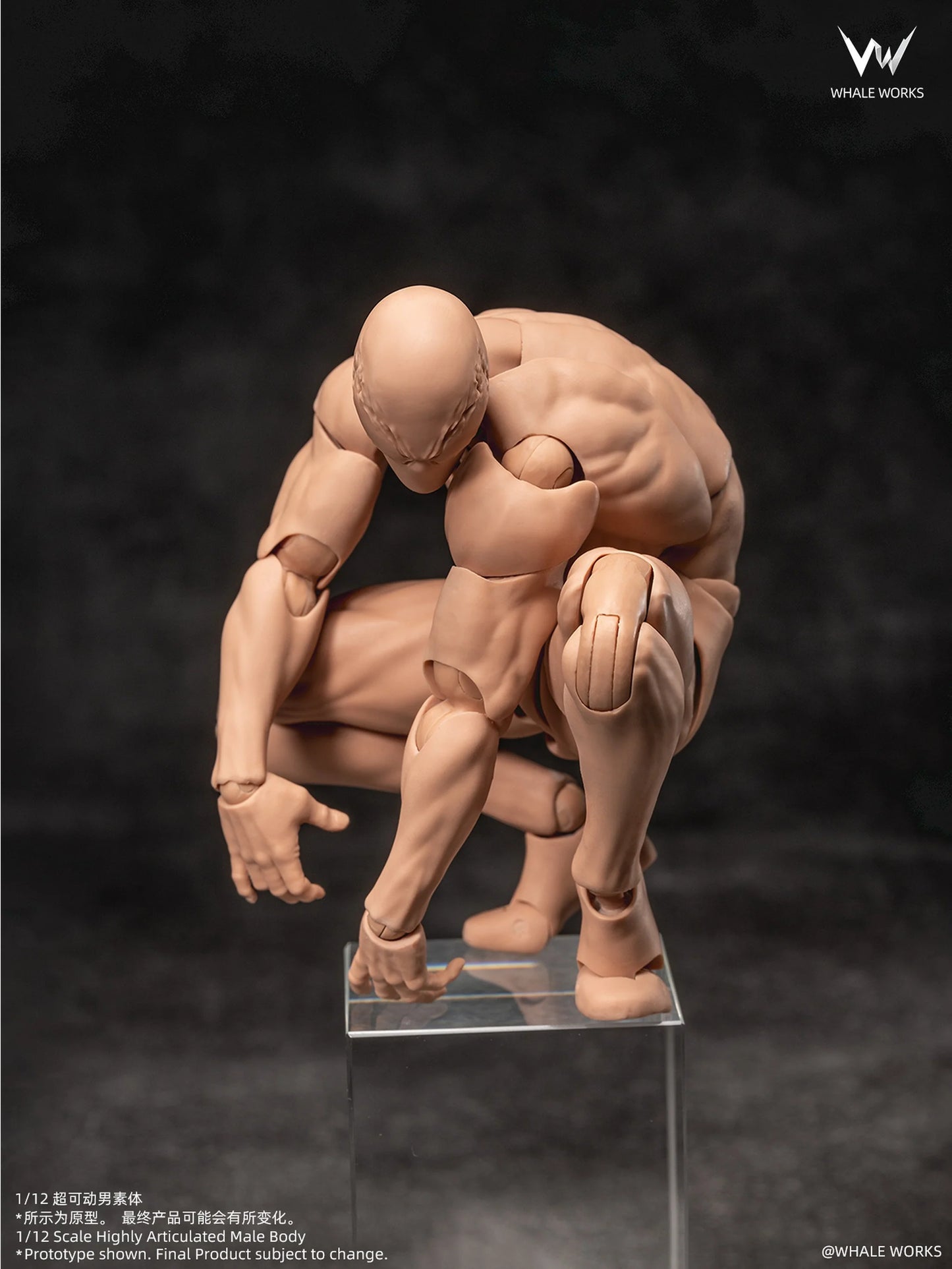 (Pre-Order) Whale Works 1/12 Super Articulated Male Body ASH action figure