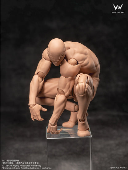 (Pre-Order) Whale Works 1/12 Super Articulated Male Body ASH action figure