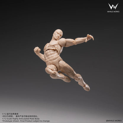 (Pre-Order) Whale Works 1/12 Super Articulated Male Body ASH action figure