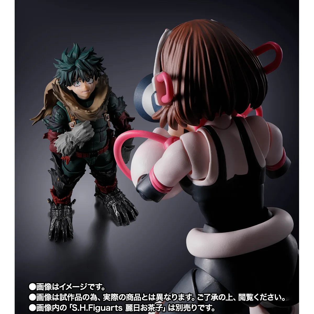 (Pre-Order) S.H. Figuarts DARK DEKU