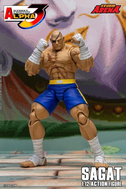 (Pre-Order) Storm Collectibles Street Fighter Alpha 3 Storm Arena Sagat