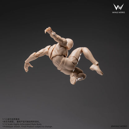 (Pre-Order) Whale Works 1/12 Super Articulated Male Body ASH action figure