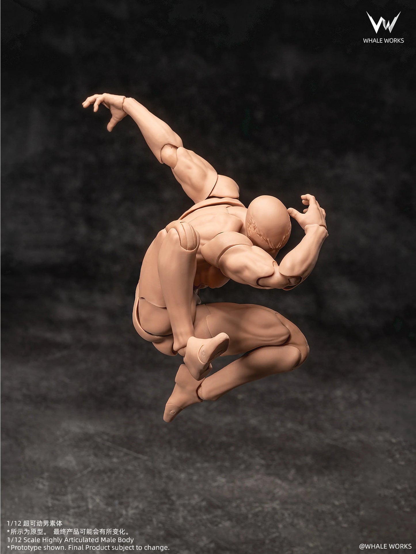 (Pre-Order) Whale Works 1/12 Super Articulated Male Body ASH action figure