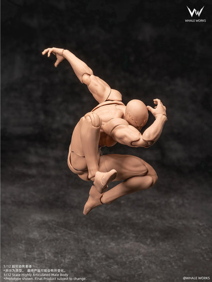 (Pre-Order) Whale Works 1/12 Super Articulated Male Body ASH action figure